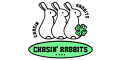 Chasin' Rabbits