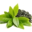 greentea_7_1024x1024.jpg